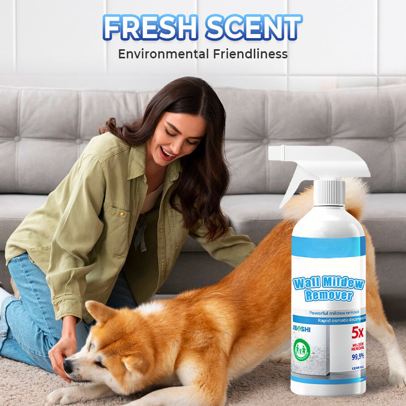🧼 Sprej proti plísním – rychlé a účinné čištění pro váš domov! ✨