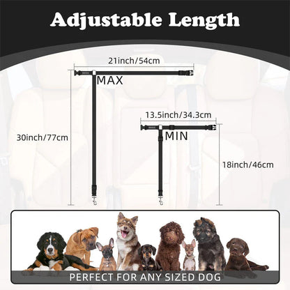 🐕✨ 2v1 Bezpečnostní pás pro psa do auta + vodítko