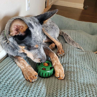 🐶 Hračka pro psy s dávkovačem pamlsků a formičkou s podnosem 🐕💕