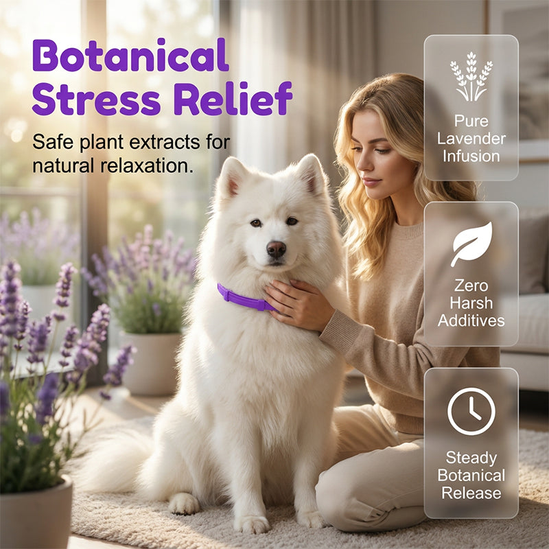 🐶 Uklidňující obojek pro mazlíčky – přírodní relaxace bez stresu! ✨