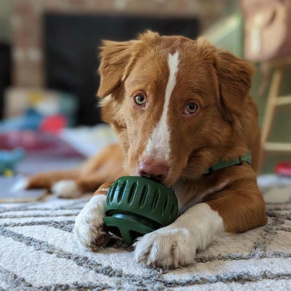 🐶 Hračka pro psy s dávkovačem pamlsků a formičkou s podnosem 🐕💕
