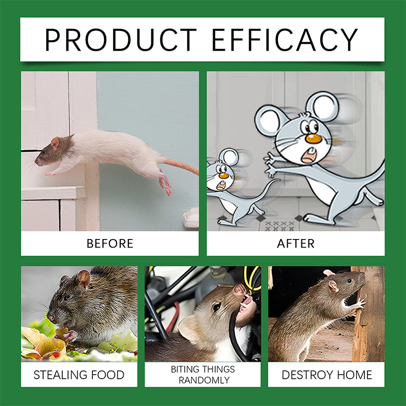 🔥1+1 zdarma (2 kusy)🐭Repelentní sprej proti hlodavcům s přírodním olejem z máty peprné