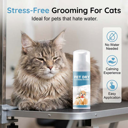 🐾✨ Bezvodá čisticí pěna pro psy a kočky – čistota bez vody a stresu!