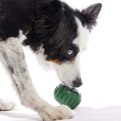 🐶 Hračka pro psy s dávkovačem pamlsků a formičkou s podnosem 🐕💕