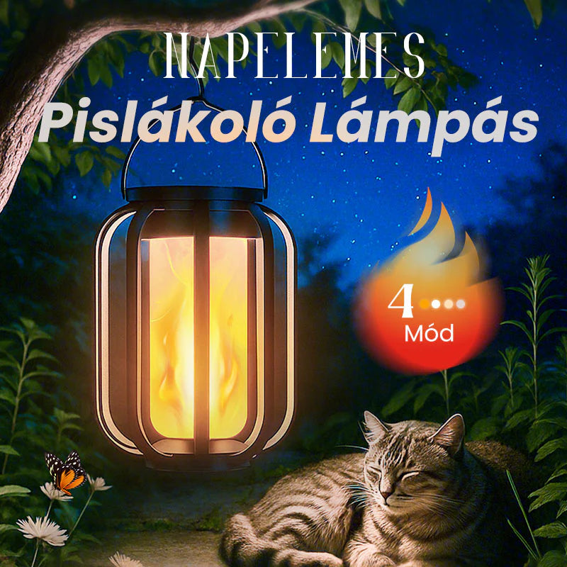 🌞Letní nabídka 🔥Venkovní solární kapesní svítilna se 4 provozními režimy