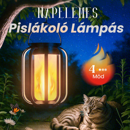 🌞Letní nabídka 🔥Venkovní solární kapesní svítilna se 4 provozními režimy