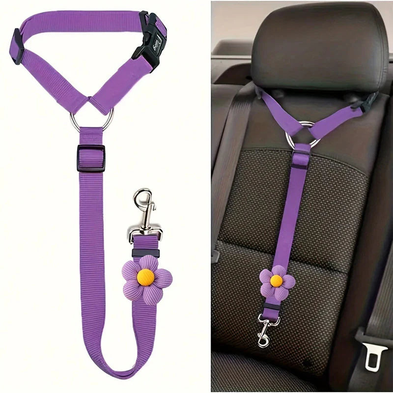 🐕✨ 2v1 Bezpečnostní pás pro psa do auta + vodítko